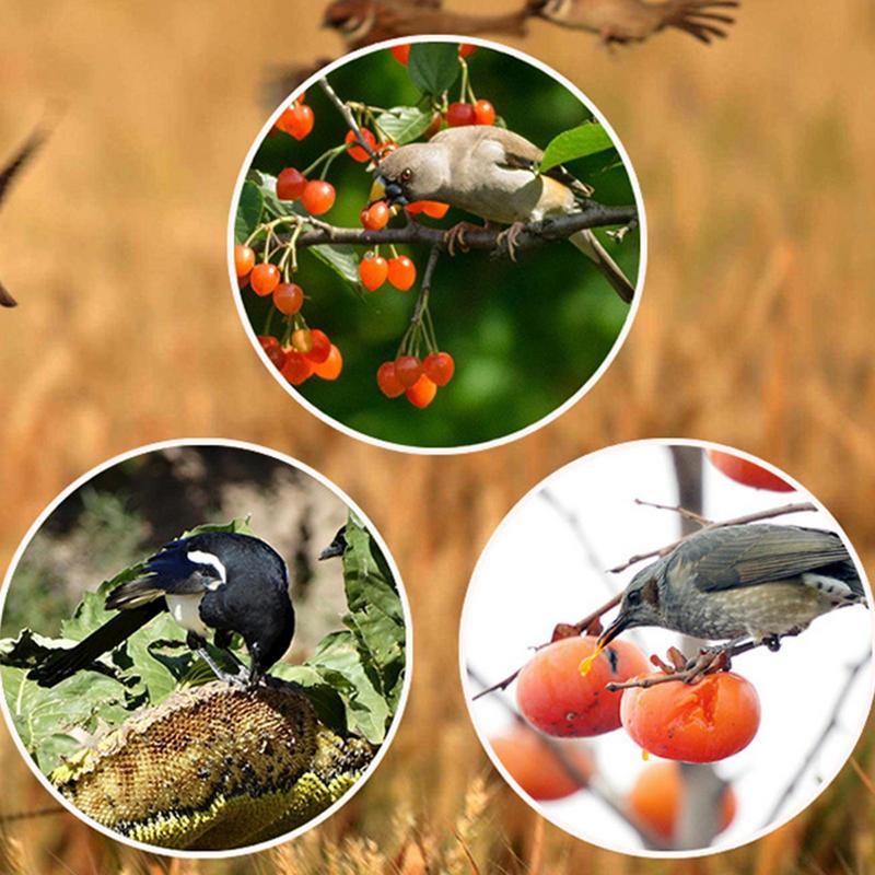 Solar Timer Bird Repeller With - Solar Bird Scarer review and price