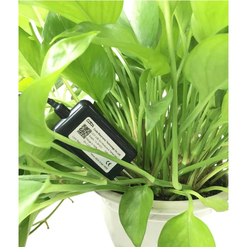 CDT-30B Rs485 0-2v Output Plan - Soil Moisture Sensor review and price